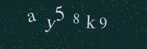 Validation image