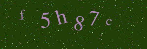 Validation image