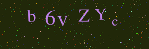 Validation image