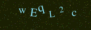 Validation image